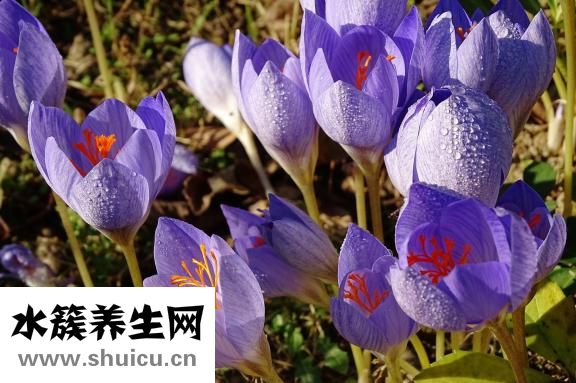 和天蝎男冷戰怎么辦