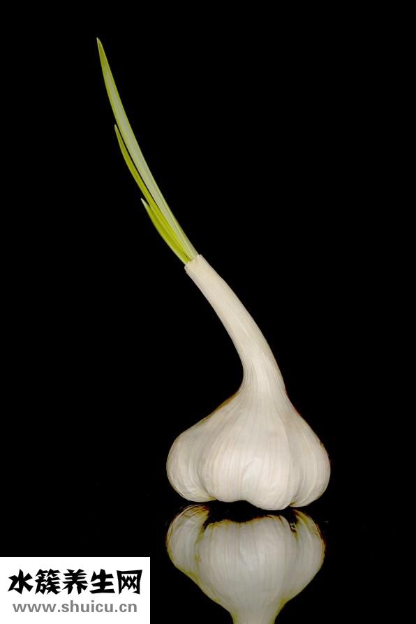 白斬雞怎么是黃的