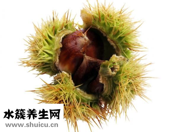 怎么炒板栗不爆炸