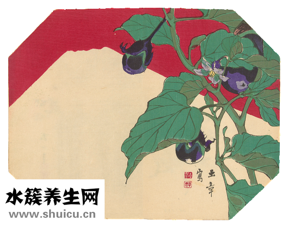 細(xì)長茄子怎么做