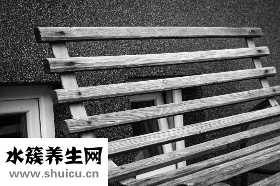 怎么煮青菜才好吃