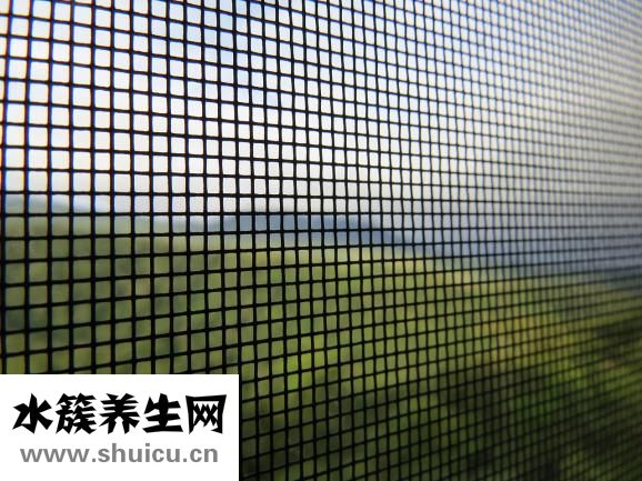 骨強度偏低怎么回事