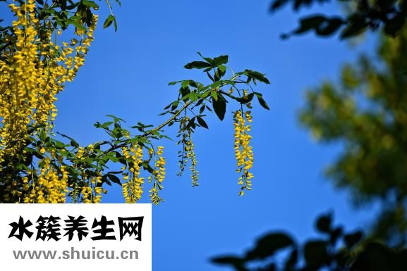 怎么知道寶寶多動癥