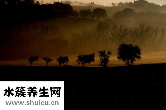 手上肌肉怎么練