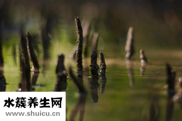 怎么找學術文章