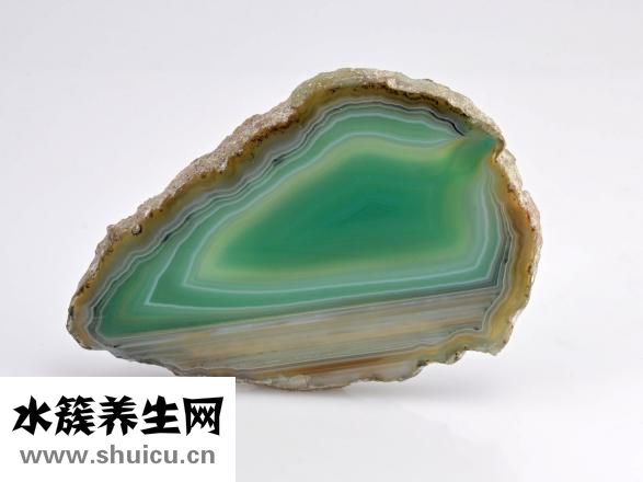 瑪瑙花怎么養(yǎng)