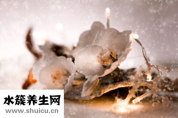 怎么知道寶寶多動癥