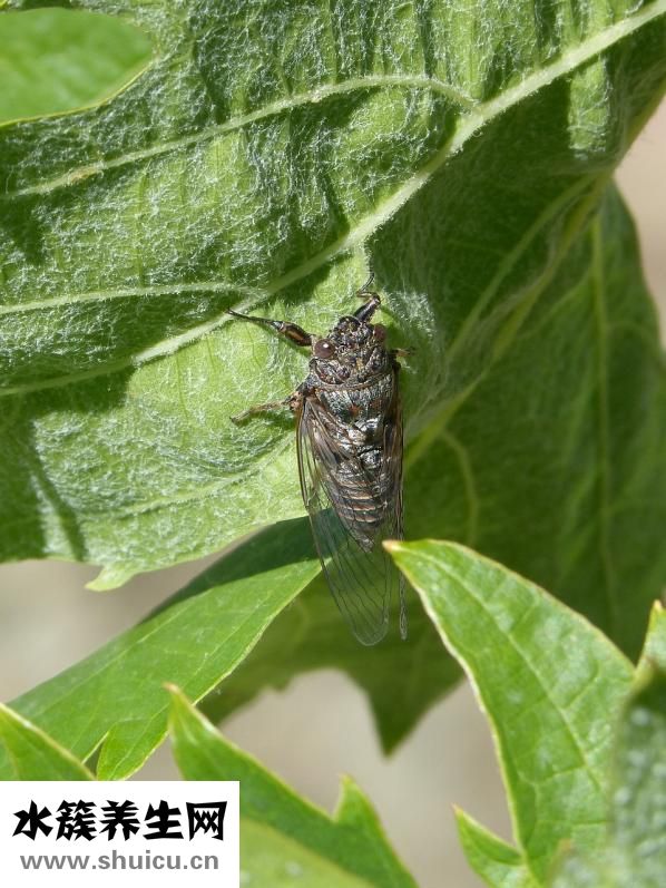 腿受傷怎么不痛