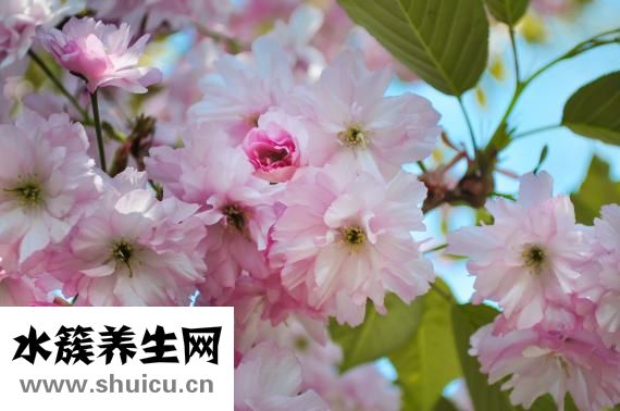 胎動英文怎么說