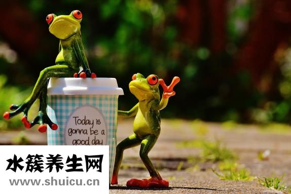 火鍋底料怎么制作