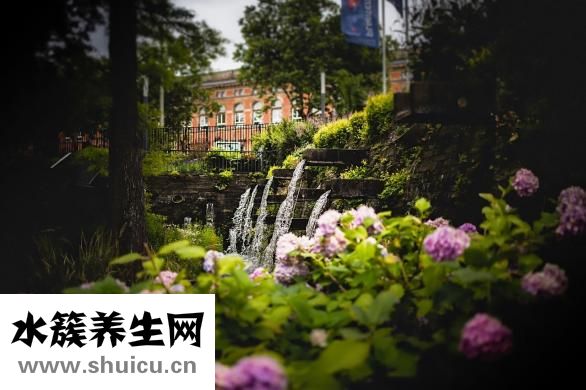 怎么找學術文章