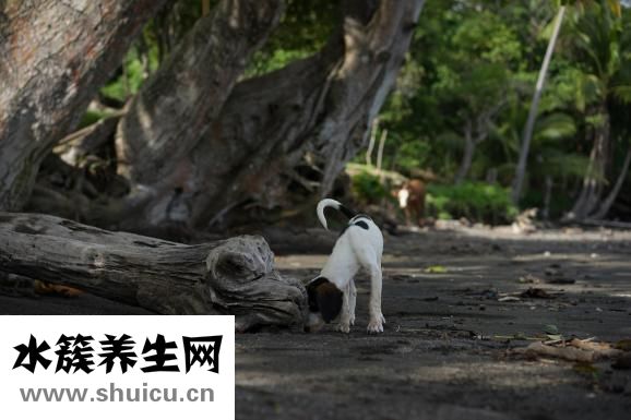 風(fēng)吹流淚是怎么回事