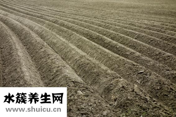 工地挖出棺材怎么辦