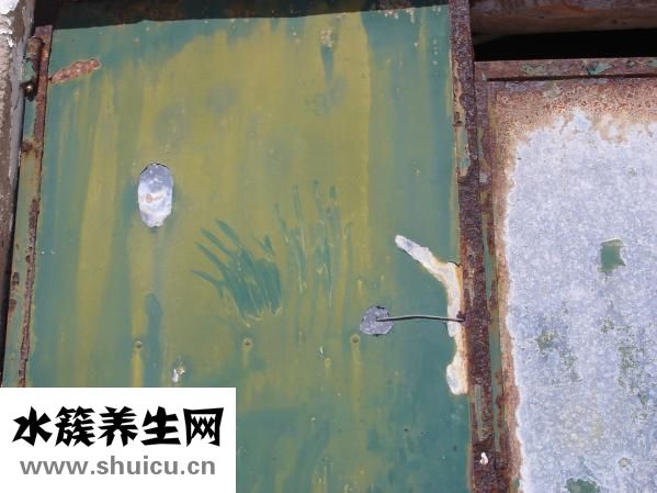 灰塵螨蟲過敏怎么辦