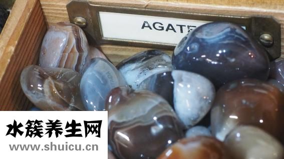 瑪瑙花怎么養(yǎng)