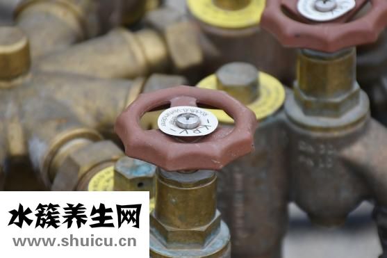 寶寶耳朵有膿怎么辦