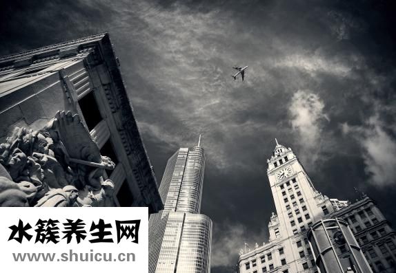 怎么判斷她是雞