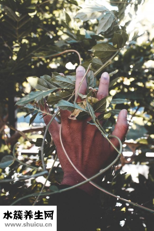 怎么判斷她是雞