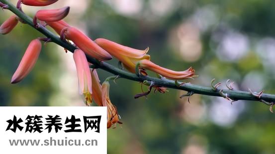 怎么可以去除痘印