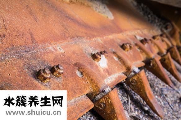 野生黃芪怎么吃