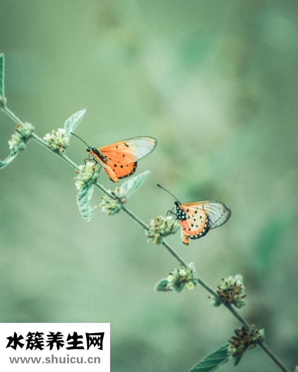 脊椎不穩怎么治療