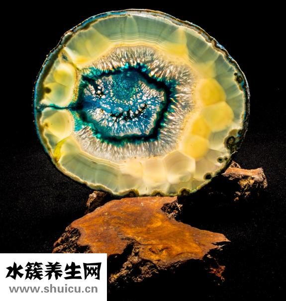 瑪瑙花怎么養(yǎng)