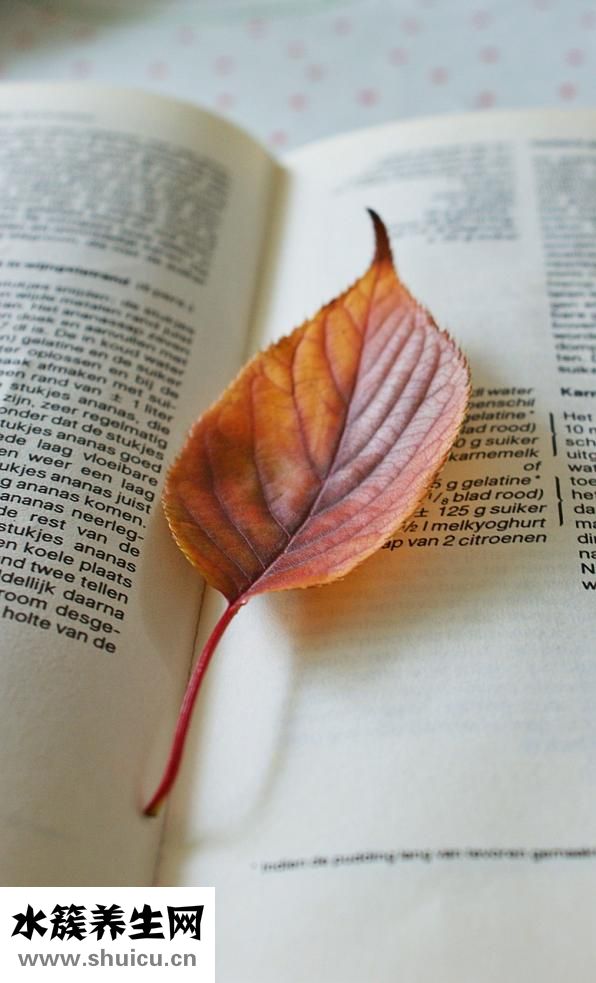 胃部涼怎么回事