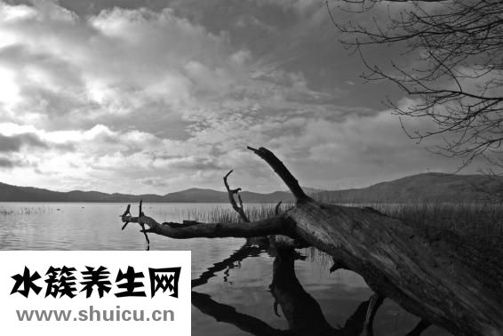 白癜風(fēng)怎么治療快