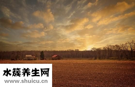 頭發(fā)太少太細(xì)怎么辦