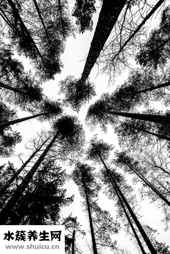 乳房黑色怎么清洗