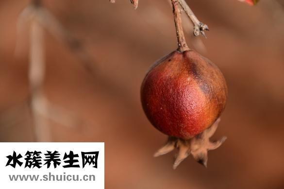 石榴木命缺木怎么辦