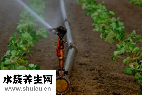 怎么調(diào)整跳繩長(zhǎng)度