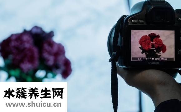 心臟照影是怎么回事