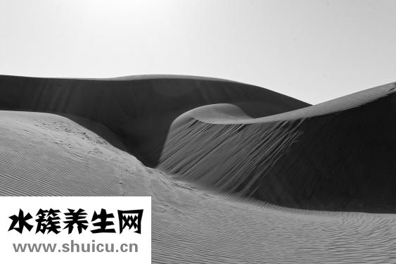 怎么辨別野生甲魚(yú)