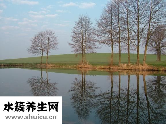 螃蟹怎么保存過夜