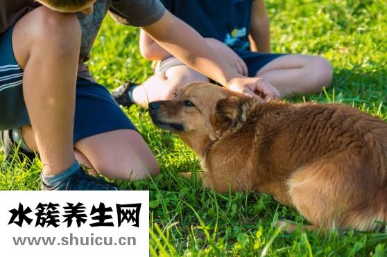 越大越好怎么完成