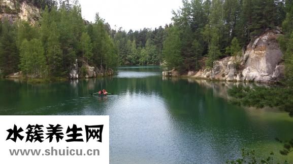 螃蟹怎么保存過夜