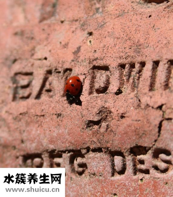 笑停不下來怎么辦