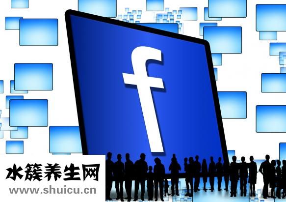 頭皮被拽傷了怎么辦