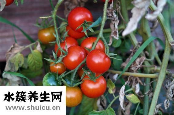 小腹脹痛怎么辦