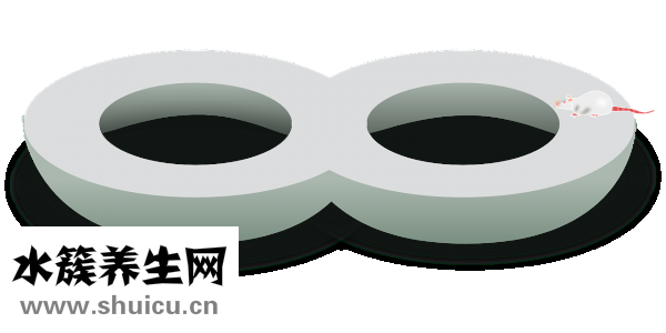 怎么辨別野生甲魚(yú)