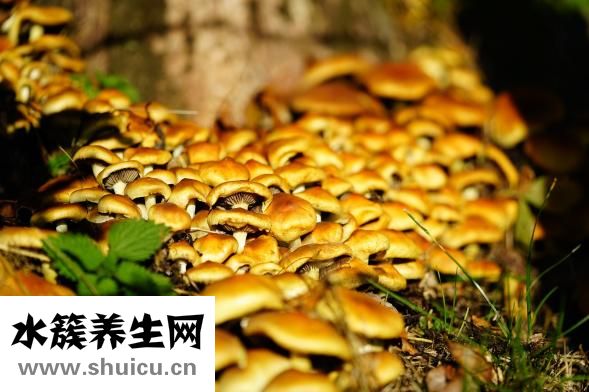 腿長水泡怎么回事