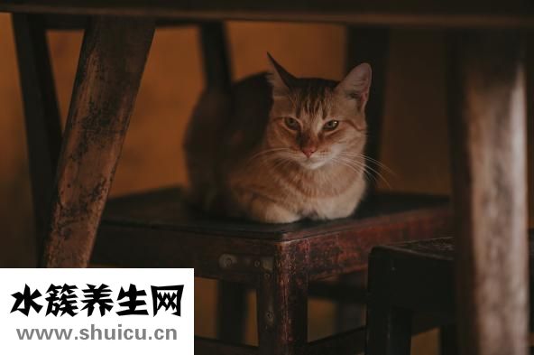 包眼角怎么畫眼線