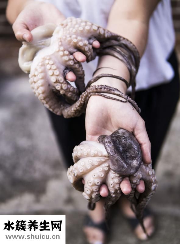 章魚的烏魚怎么吃