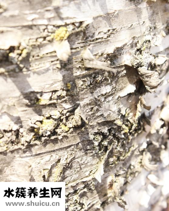 玉墜碎了怎么辦