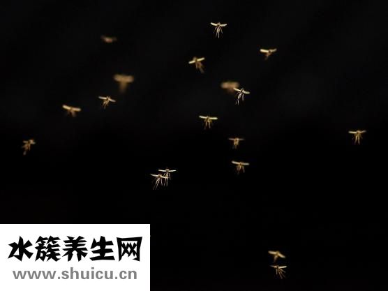 半夜有蚊子怎么辦