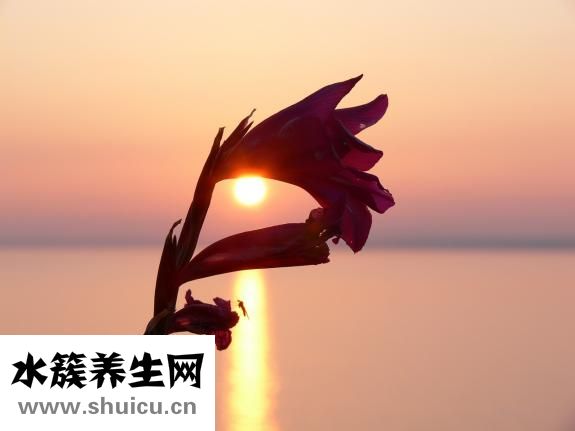 半夜有蚊子怎么辦