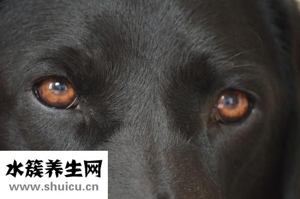 包眼角怎么畫眼線