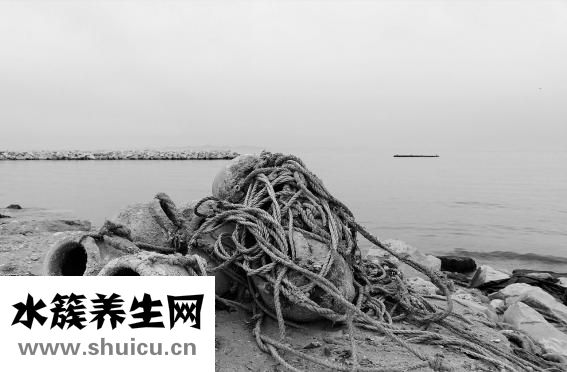 章魚的烏魚怎么吃