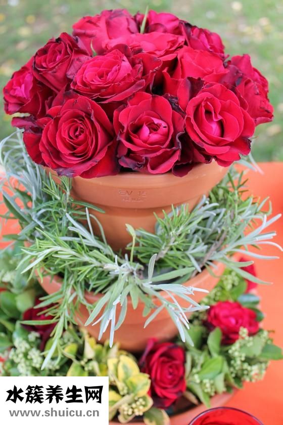 卜用韓文怎么說